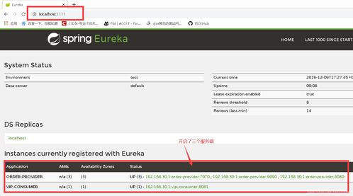 Eureka 服务注册中心与互联网域名注册服务的区别与联系