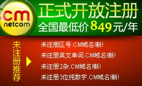耐思尼克 一站式企业互联网解决方案，助力您的数字化征程
